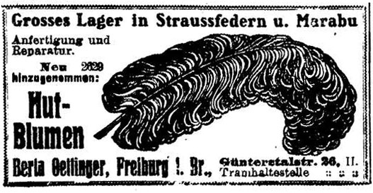 Straussfedern